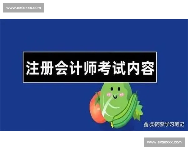 中国体育官网入口全面指南最新资讯与注册登录操作详解